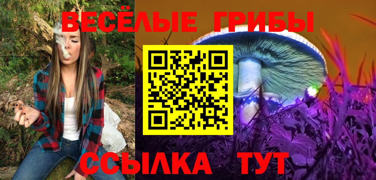 Псилоцибиновые грибы мухоморы  Вход с VPN  Кашира  Псилоцибиновые грибы прущие грибы 