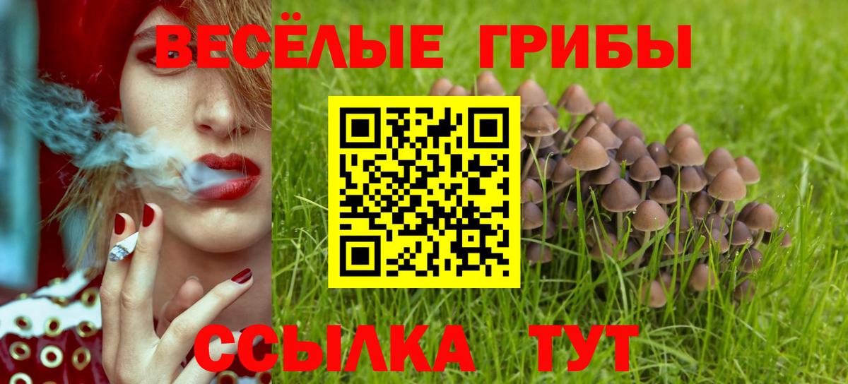 Галлюциногенные грибы Cubensis Кашира